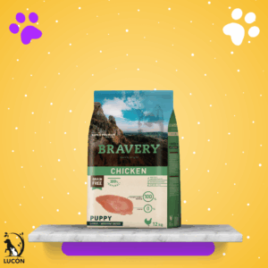 Bravery Chicken Cachorro