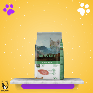 Bravery Chicken Kitten