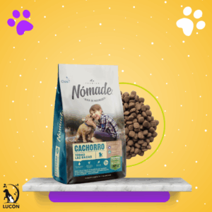 Nómade Cachorro