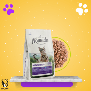 Nómade Gato