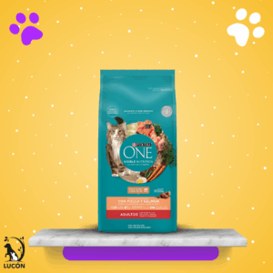 Purina ONE Gato Salmon