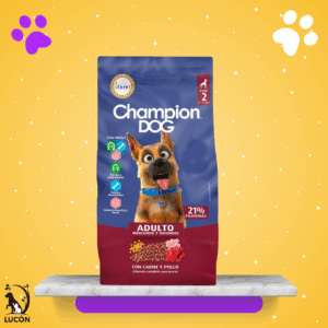 Champion Dog Adulto