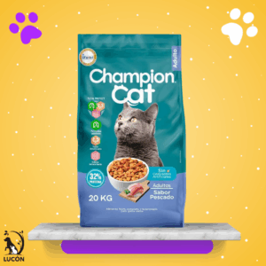 Champion Cat