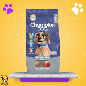 Champion Dog Senior