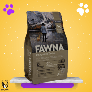 Fawna Cachorro Razas Medianas