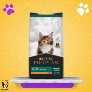 Pro Plan Kitten